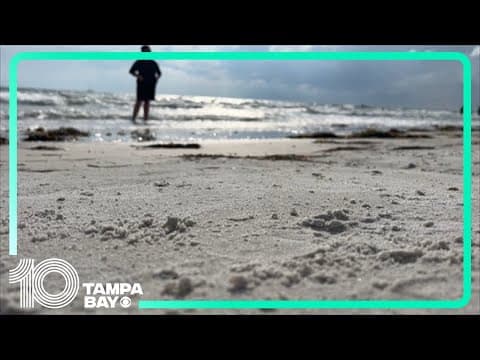 Army Corps of of Engineers provides updates on Pinellas County beach renourishment project