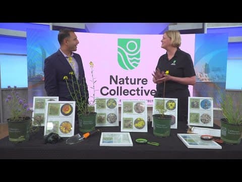 Nature Collective celebrates Earth Month