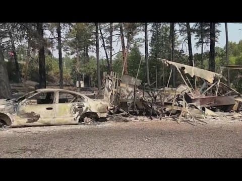 New Mexico wildfires "most devastating in state's history"