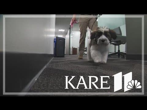 Burnsville Police introduce emotional support puppy