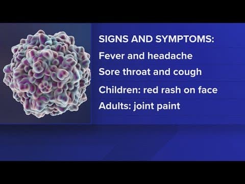 CDC issues health advisory over rise in human cases of parvovirus B19