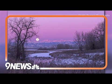 100,000 wildlife photos donated to the Denver Museum of Nature and Science