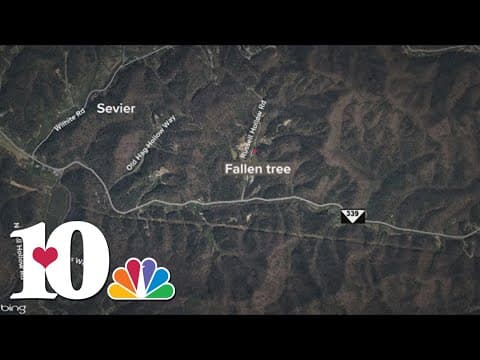 2 injured after incident while clearing large tree in Sevier County, authorities say