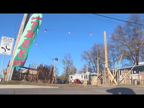 Central Ohio tree farm hoping to thrive despite labor issues