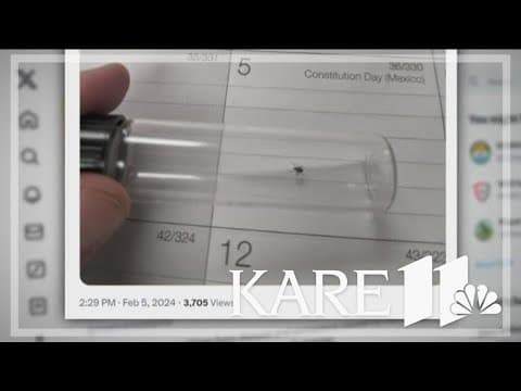 Will 2024 be a bad year for ticks and mosquitos?