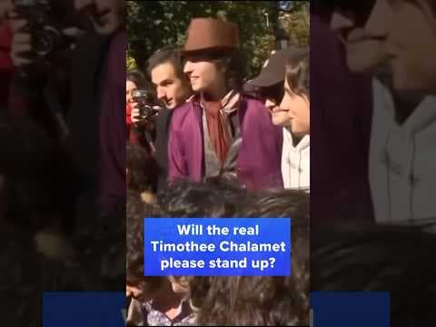 Will the real Timothee Chalamet please stand up? #timotheechalamet