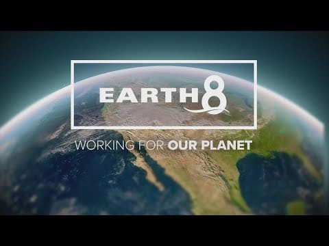 When you're shopping opt out of taking that plastic bag or bring your own