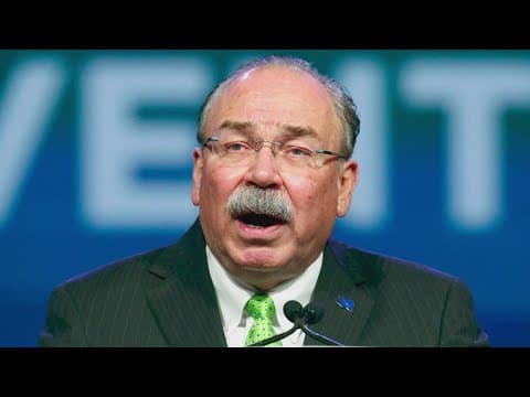 Chair of Texas Democratic party steps down after bruising loss