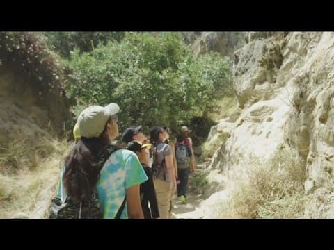 Exploring San Diego's wildlife with the Nature Collective| CBS 8 Mornings