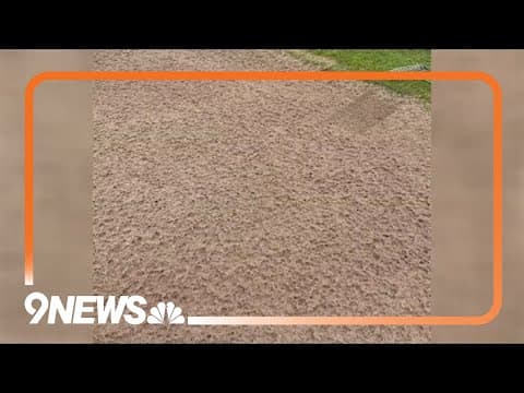 Colorado golf club reopens after closure due to hail