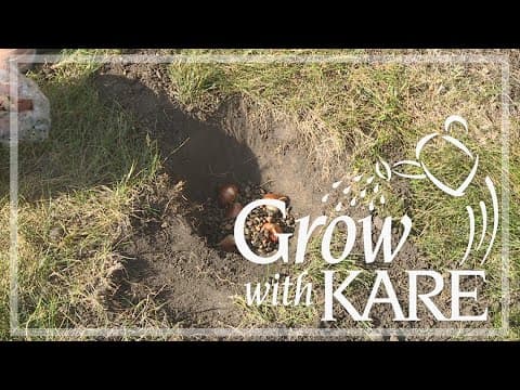 Grow with KARE: Keeping wildlife away from your bulbs