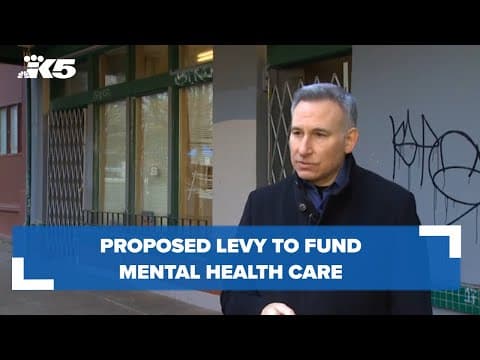 Proposed levy to fund mental health care
