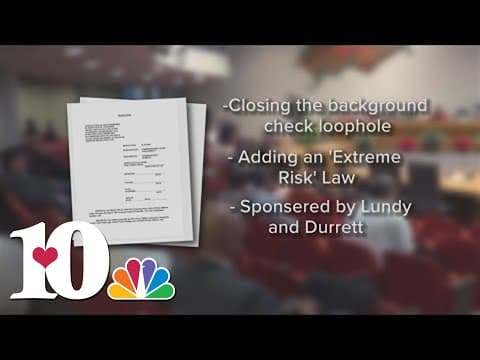 Knox Co. Commission debates gun resolution from junior commission members