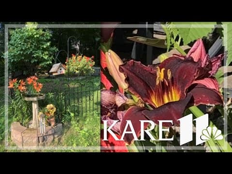 Your Good News: Karen, Robin Hoy, Dan Fuller