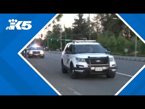 Suspect flees after hitting, killing pedestrian in Spanaway