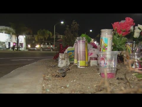 Lemon Grove New Year's Day fatal crash, victims families speak out