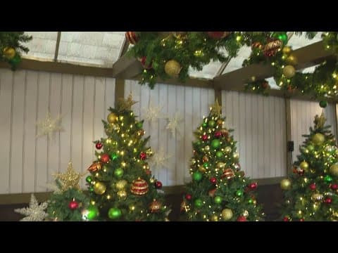 'Christmas at the Zoo' returns for 55th year