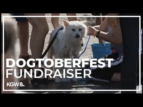'Dogtoberfest' raises money for animal blood bank
