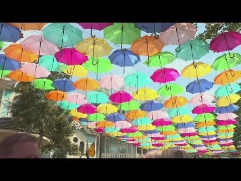 Dollywood's Flower and Food Festival returns for 6th year