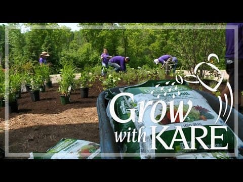 Grow with KARE: MN Zoo's Buzz & Bloom Garden