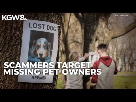 Oregon Humane Society warns of phone scam that targets owners of lost pets