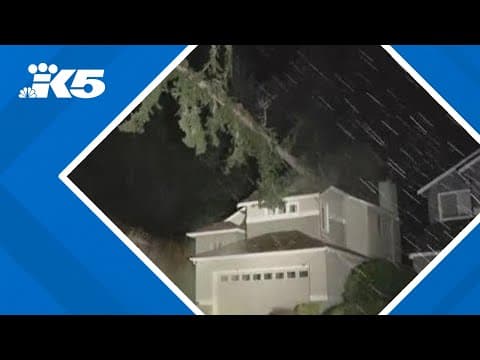 Half a million people without power, fallen trees blocking roads around western Washington