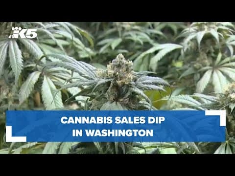 Cannabis sales dip in Washington