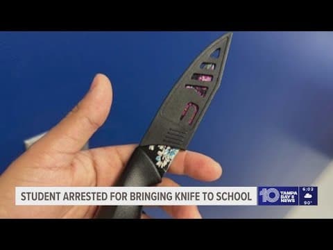 16-year-old arrested after bringing knife to school in Hillsborough County