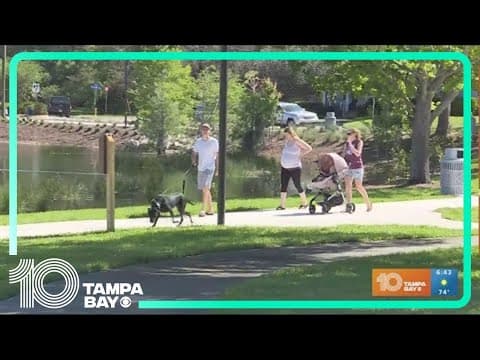 "Wag into Fall" at Crest Lake Dog Park