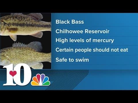 Chilhowee Reservoir precautionary fish consumption advisory
