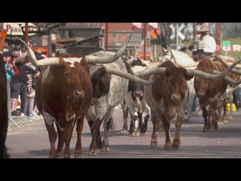 Fort Worth prepares to vote on historic expansion of Stockyards