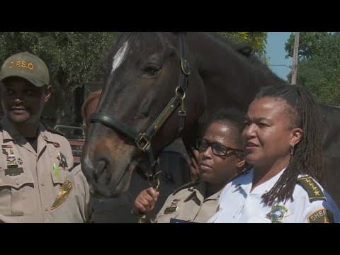 OPSO mounted division retires long-serving member