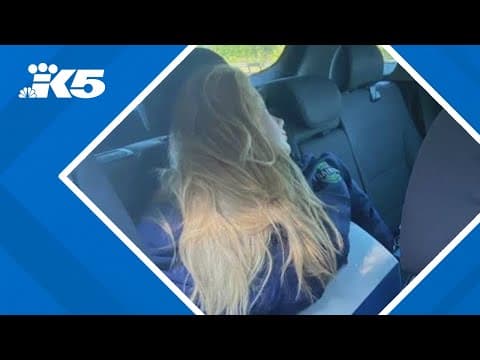 Speeder busted with fake passenger in HOV lane
