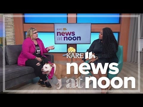 My Pitbull is Family offers resources