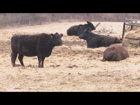 Loudoun Co. farmers' initiatives still face uncertainty over frozen federal funds