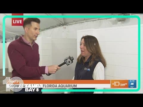 Snow Days at the Florida Aquarium