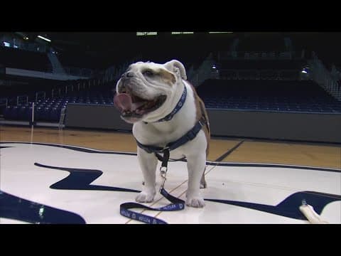 Butler University's previous mascot, Blue III 'Trip,' passes away