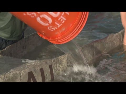 Can concrete float? Engineering students compete in innovative competition