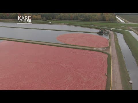 KARE in the Air: Wisconsin Cranberry Bogs at Harvest
