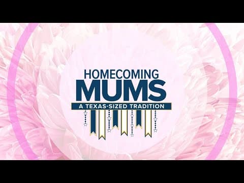 Homecoming Mums: a Texas-sized tradition