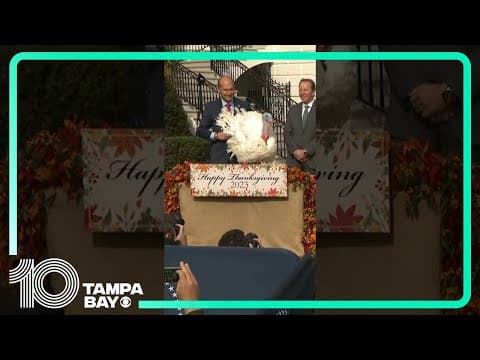 President Biden pardons Thanksgiving turkeys #shorts