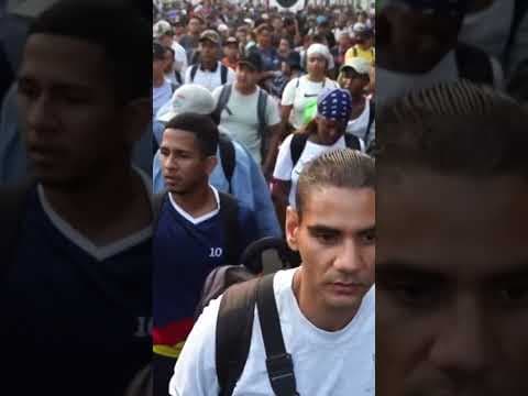 New Migrant Caravan Headed to U.S.