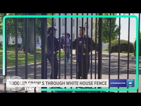 Littlest intruder: Toddler crawls through White House fence