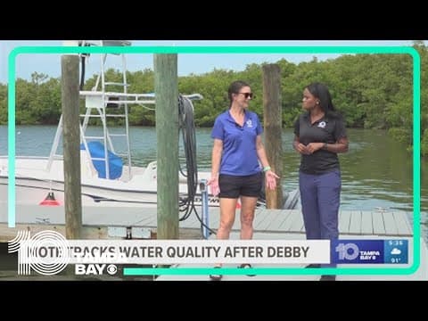 Mote Marine Labs tracks poor water quality in Sarasota Bay after Debby