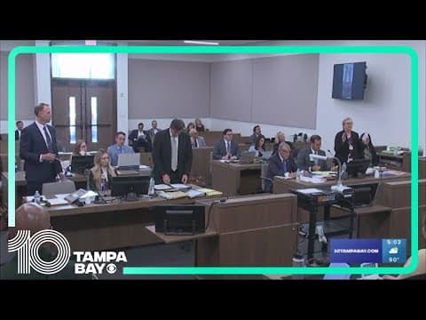 New insight into Maya from 'Take care of Maya' trial