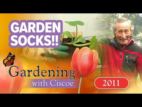 Build raised beds quickly!! | Gardening with Ciscoe | Full Episode
