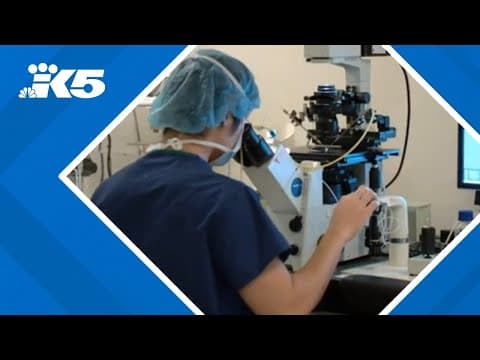 Clinic expands to Bellevue as demand for infertility treatment rises in Washington state