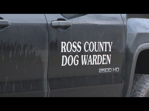 Ross County Dog Warden investigating after pit bull found burned to death in kennel