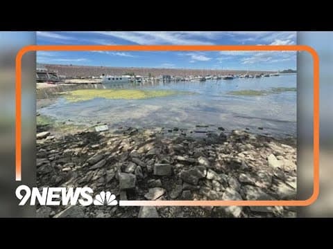 CPW finds blue-green algae at Cherry Creek Reservoir