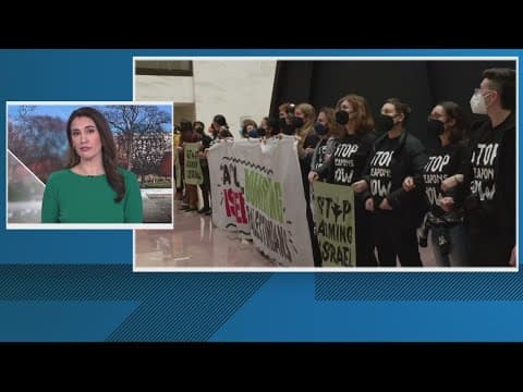 Protesters calling for ceasefire in Gaza arrested at Hart Senate Office Building